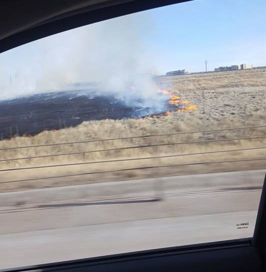 Brush fire near Tower Road. Photo: Tom Lubahn