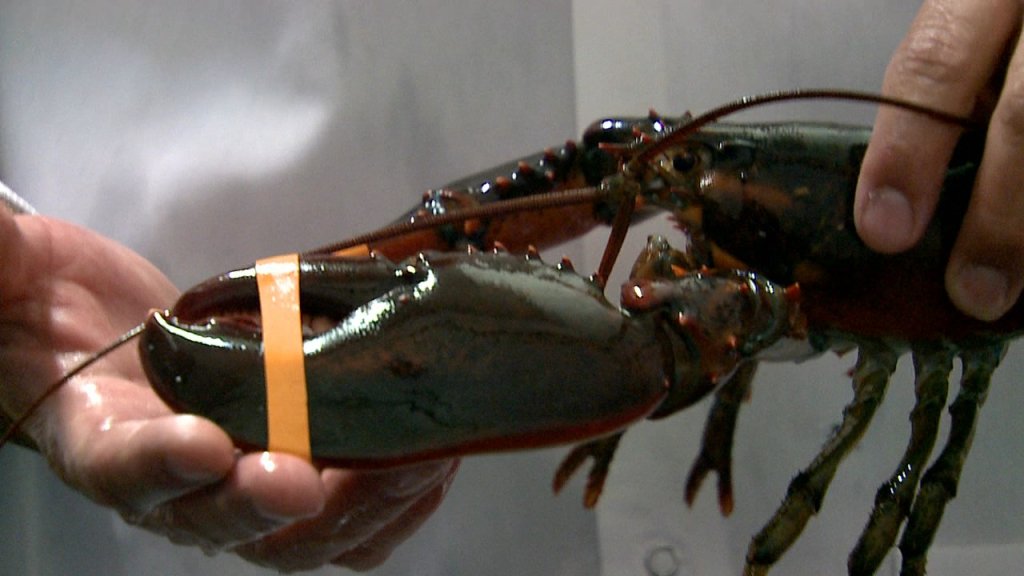 Seattle Fish Company