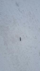 Photo of shell casing- via FOX 8's Kevin Freeman
