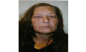 Lisa Dalesandro. Courtesy Alliance Police.