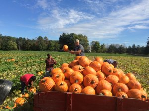 (Photo courtesy: Red Wagon Farm)