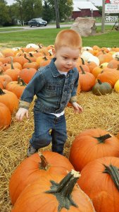 (Photo courtesy: Ridgeview Farm)