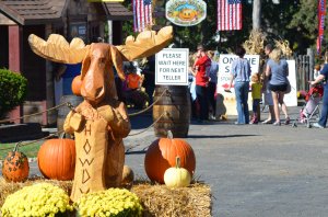 (Photo courtesy: Mapleside Farms)