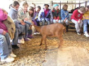 (Photo courtesy: Ridgeview Farm)