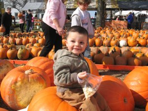 (Photo courtesy: Dussel Farm)