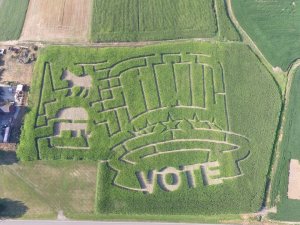 (Photo courtesy: Dussel Farm)
