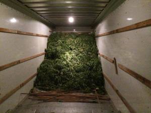 A truck leaving an evacuated community during the King Fire had 1,000 pounds of marijuana inside.