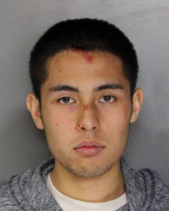 Loc Nguyen, 20, was  arrested for assault with a deadly weapon Courtesy: Elk Grove Police Dept