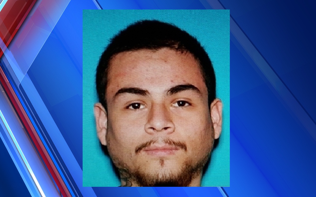 hit and run suspect