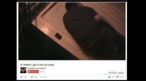 Screenshot from viral video
