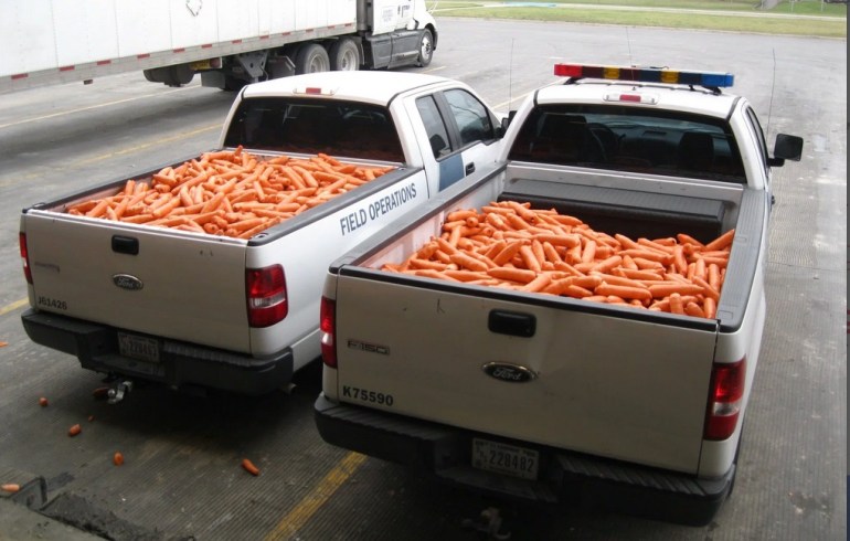 carrots