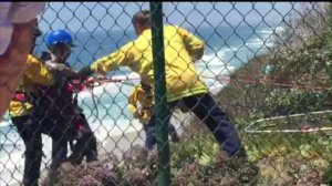 Two men fell off a bluff in Encinitas while playing "Pokemon Go."