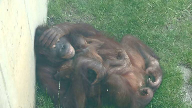 Mother Josie covers her eyes as she rests with her new baby boy in her arms.