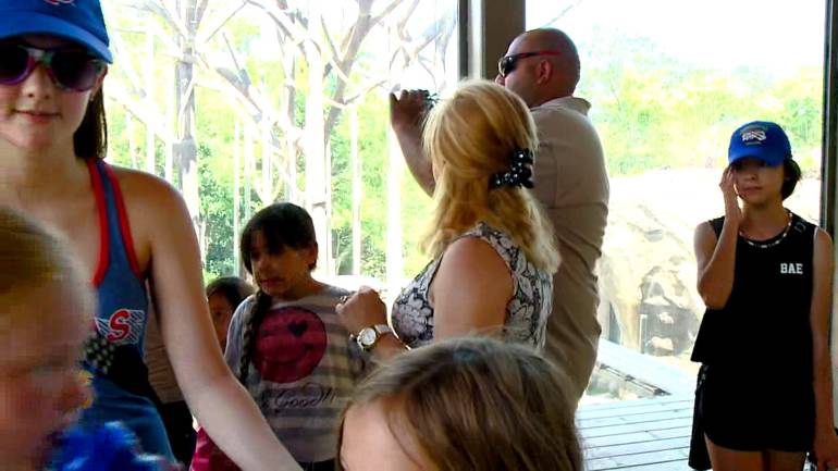 Visitors lined up Thursday to catch a glimpse of Josie and her new baby.
