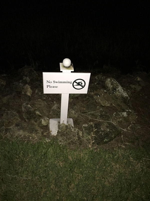 Picture of "no swimming" sign outside Disney's Grand Floridian resort.
