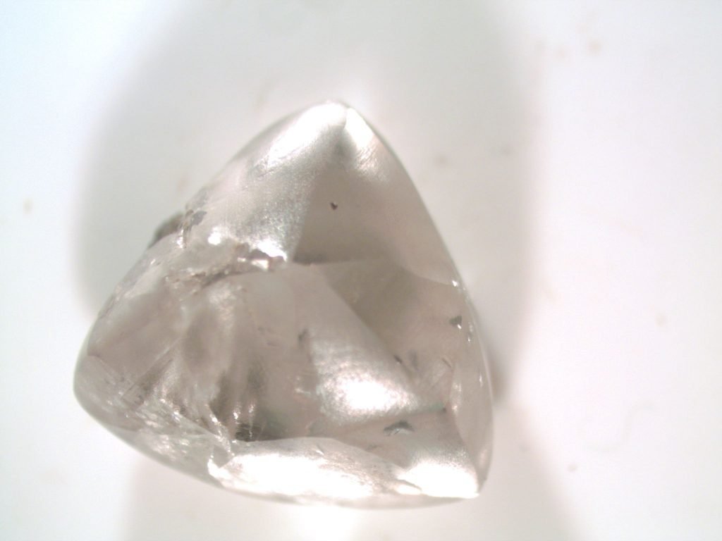 There are those who go to the Crater of Diamonds State Park, armed with shovels and buckets and kneepads and maps to spend the day meticulously digging for diamonds. And then there's Dan Frederick and his daughter Lauren, who less than an hour after setting foot in the park for the first time, found a 2.03 carat diamond just lying there, staring back at them.