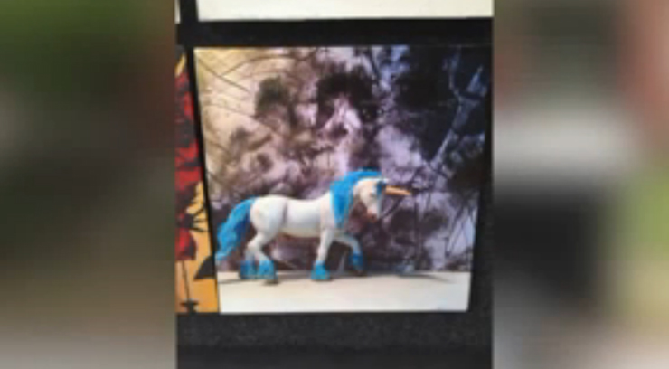 An example of Van Leeuwen's artwork.