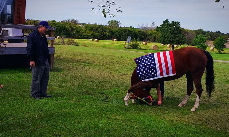 "An Unlisted Angel" bows for a veteran who stopped by the stable. (image courtesy of Autumn Winkler)