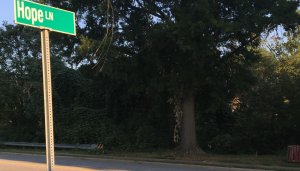 Hope Lane - site of second clown sighting