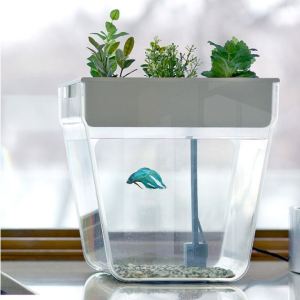 Water Garden/ Courtesy of Uncommon Goods