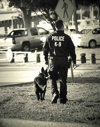 Photo: Clearwater Police Department via CBS News