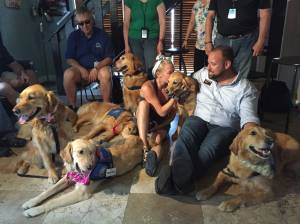 At vigils and counseling centers, in hospitals and out on the streets of Orlando, you may see a special kind of grief counselor. They listen without giving advice, offer unconditional love and are happy to just be there for you -- with tails wagging. Photo: K-9 Comfort Dogs