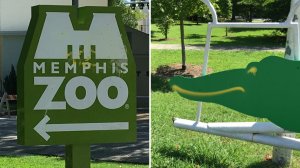 (Left) The Memphis Zoo sign after it was cleaned; it originally had a message with profane language spray-painted on it. (Right) The Zoo said the alligator gates had the same message. Photos: Memphis Zoo