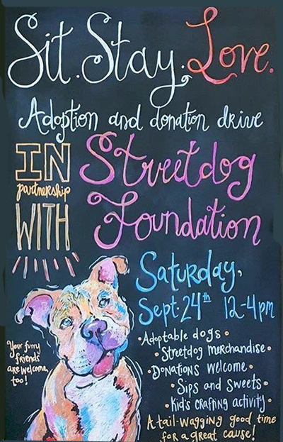 streetdog-foundation-2