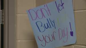 bully