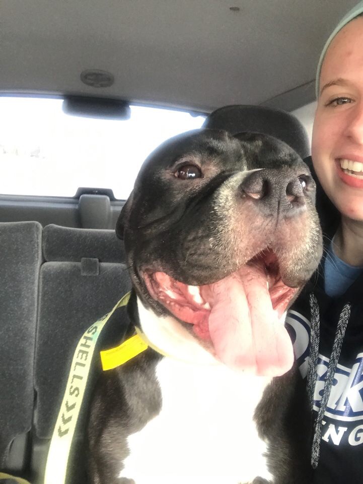The Drake University women's rowing team rescued two dogs from the Des Moines River on Saturday. (Drake University Rowing Team)