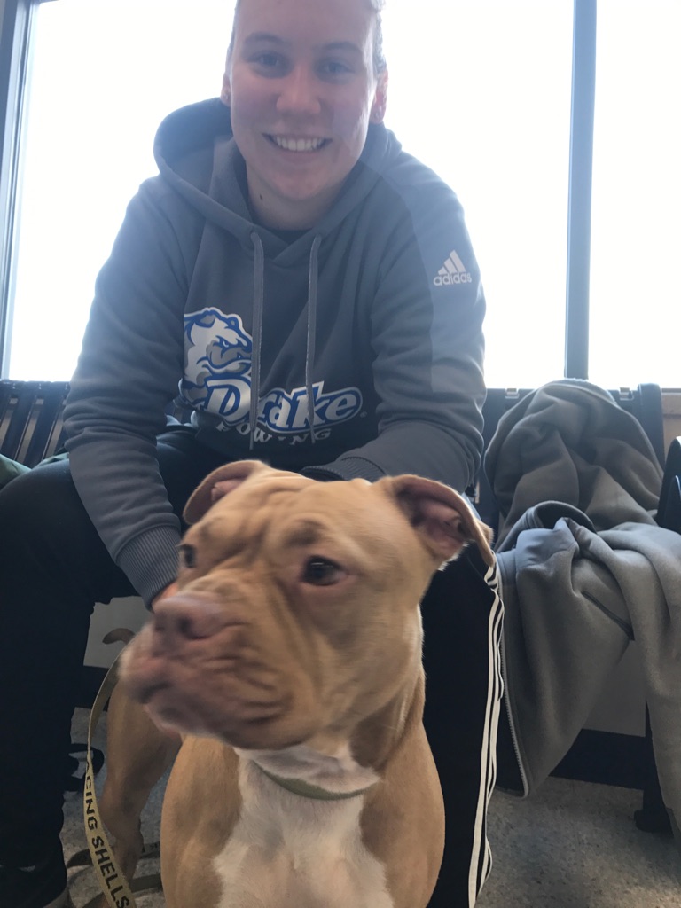 The Drake University women's rowing team rescued two dogs from the Des Moines River on Saturday. (Drake University Rowing Team)
