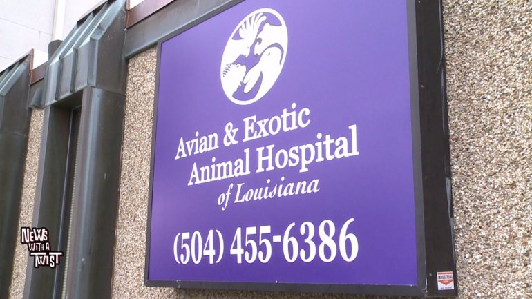 Avian and Exotic Animal Hospital of Louisiana