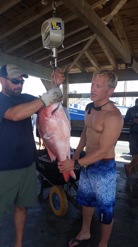 Snapper at weigh ins