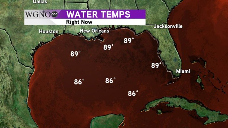 Gulf Sea Surface Temperatures