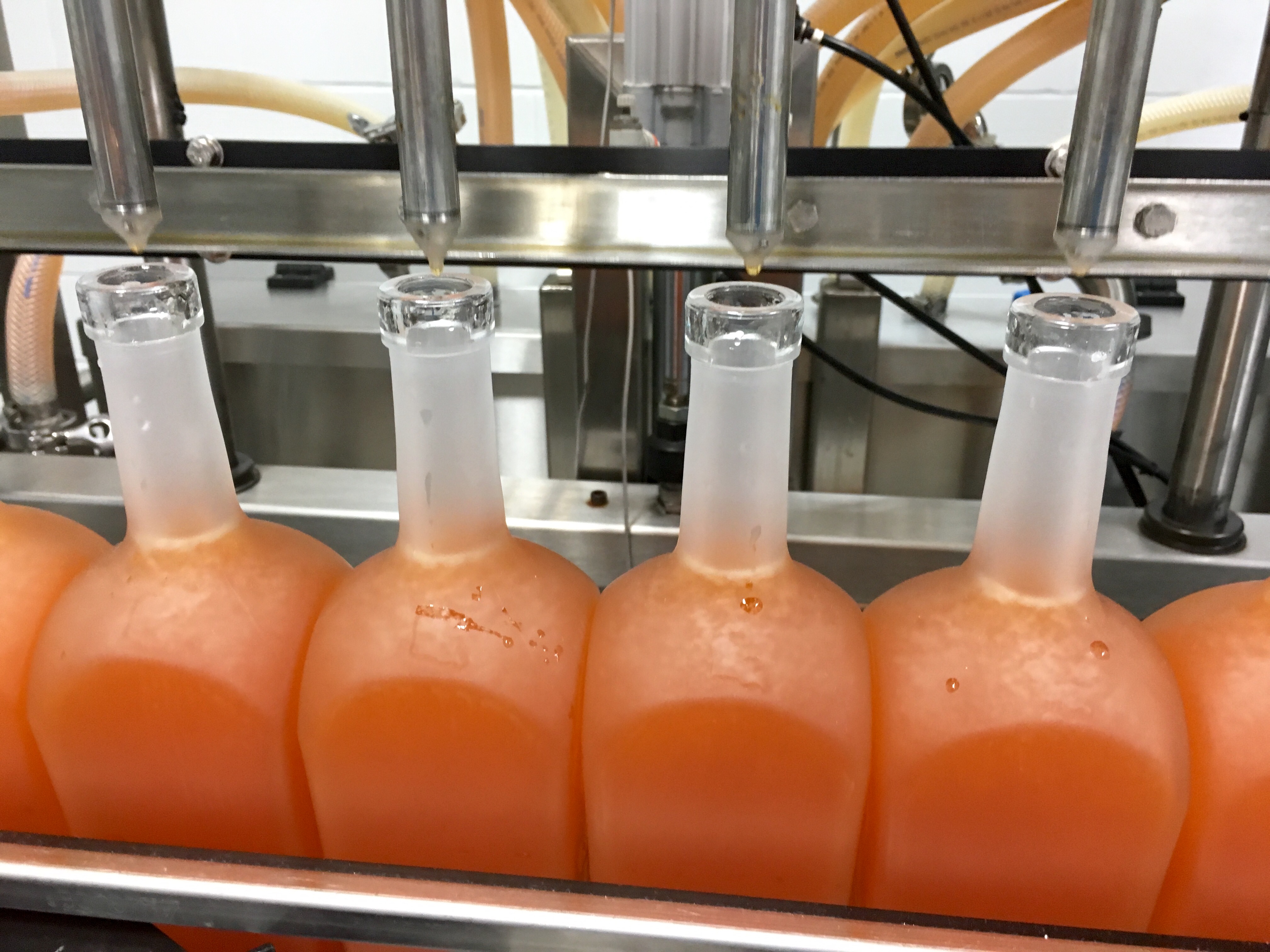 Thousands of bottles are processed in the Bayou Rum bottling room on a daily basis.