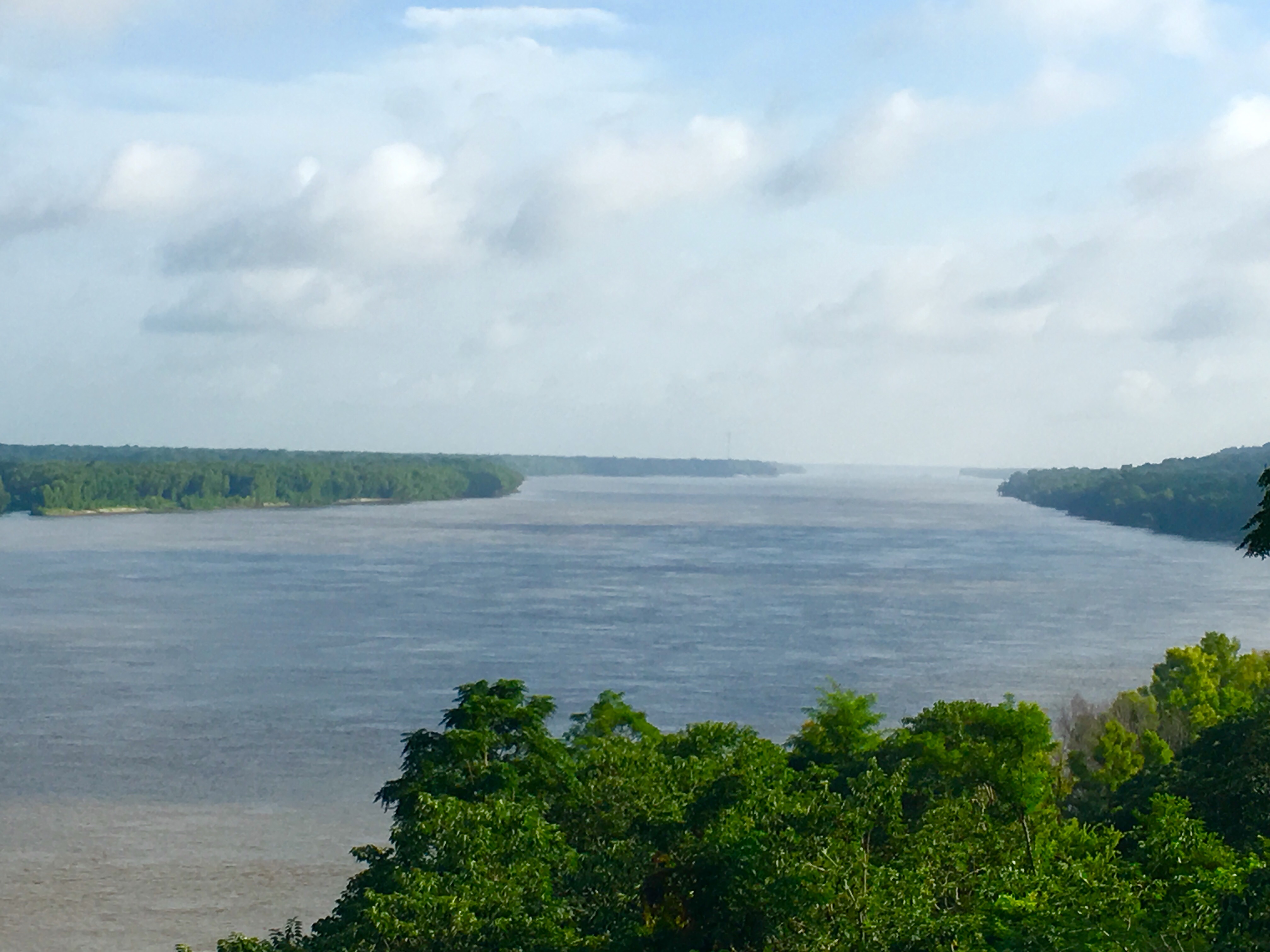 The mighty Mississippi, as seen from the Natchez riverbank.