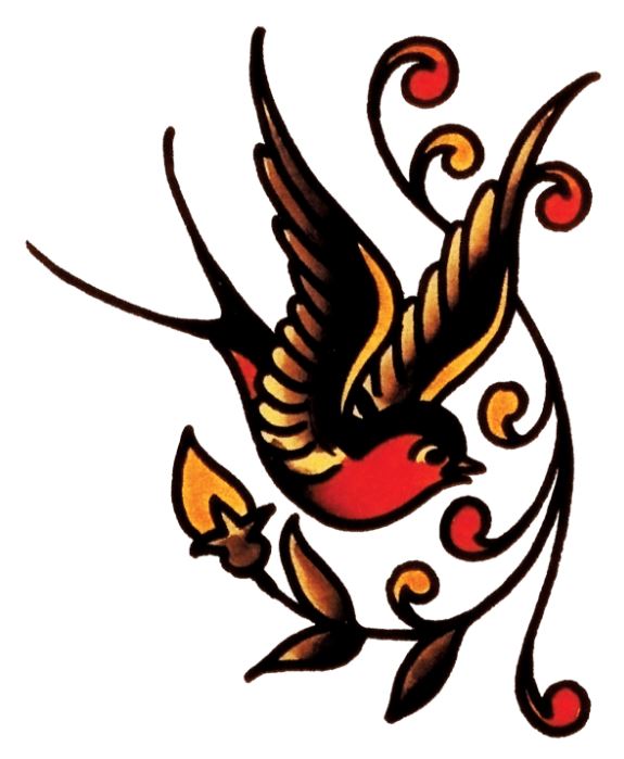 Swallow