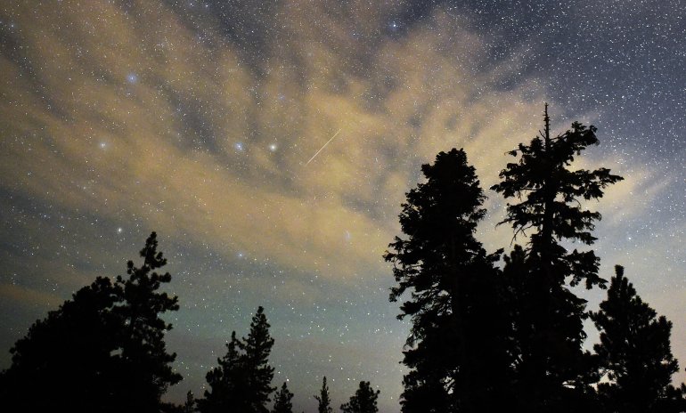 A Perseid meteor streaks across the sky above desert pine trees on August 13, 2015 in the Spring Mountains National Recreation Area, Nevada. (Ethan Miller/Getty Images)