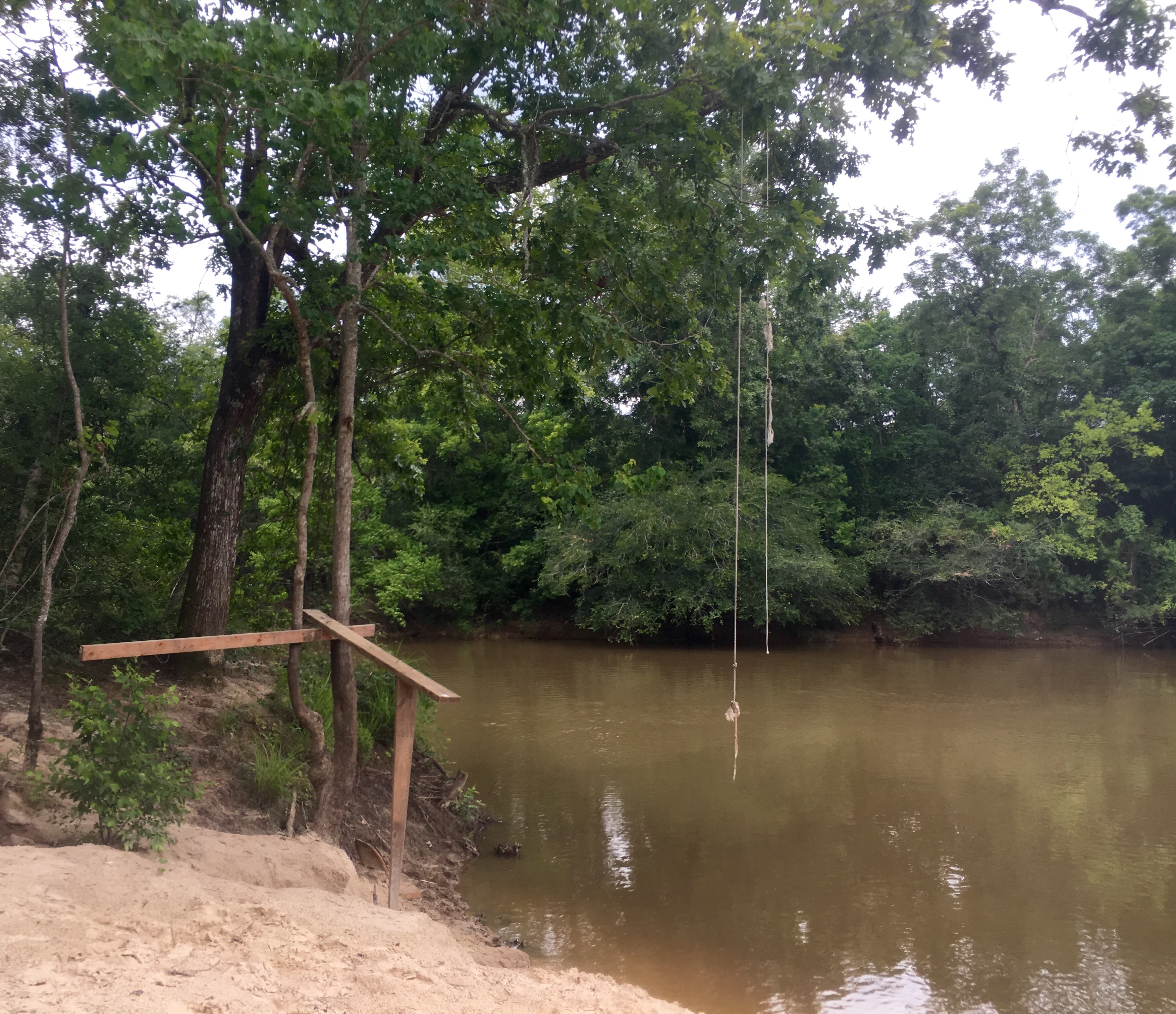 A rope swing on the bank of Porters River.