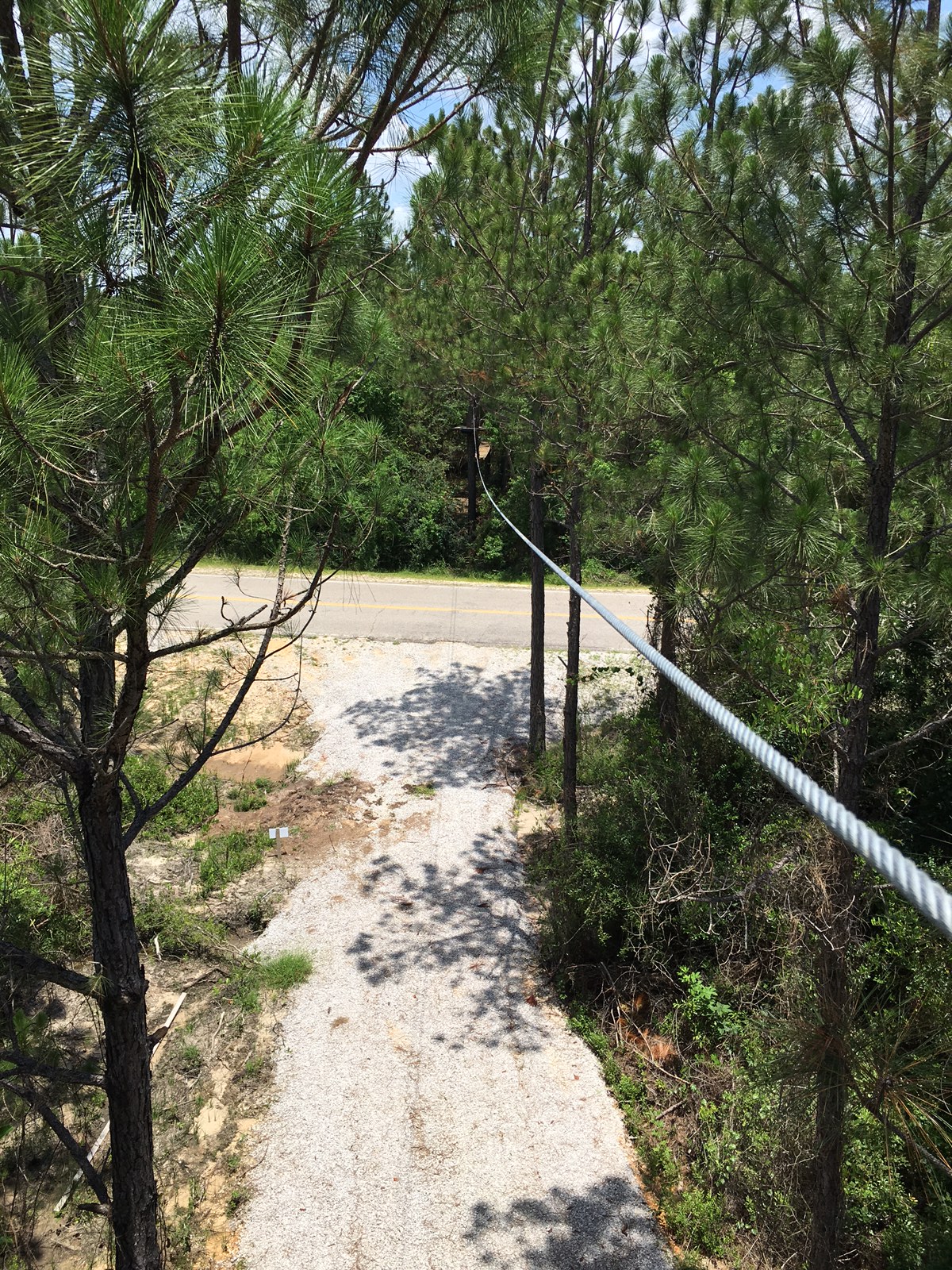 Zip-lines fly above hiking trails and highways.