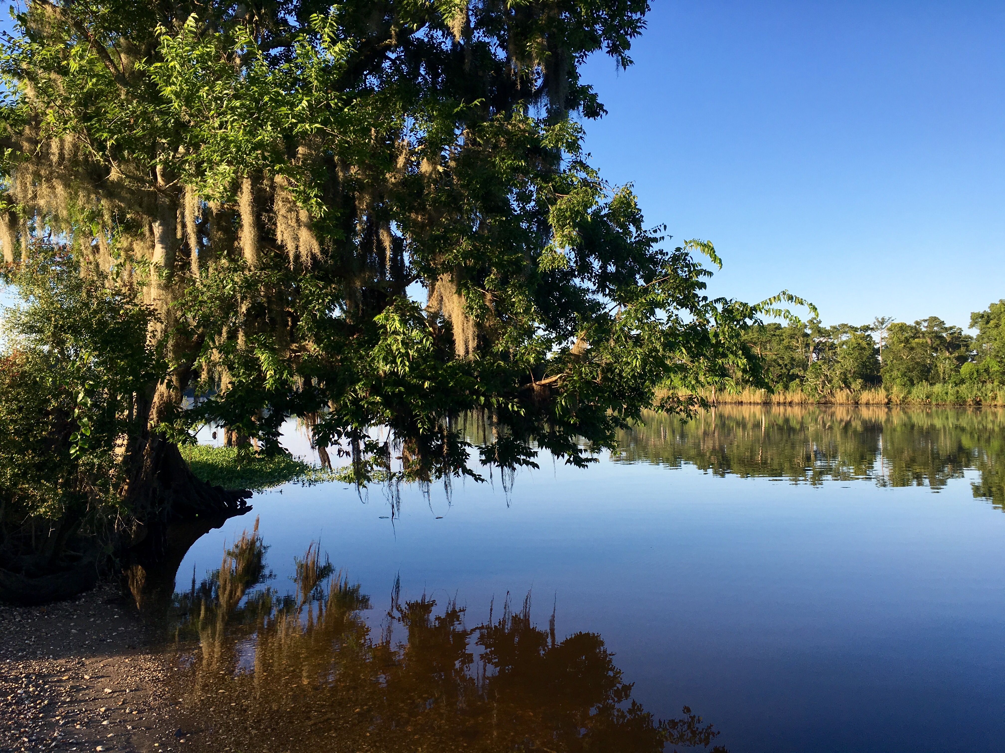 The reflections are stunning just after dawn at the Logtown boat launch.