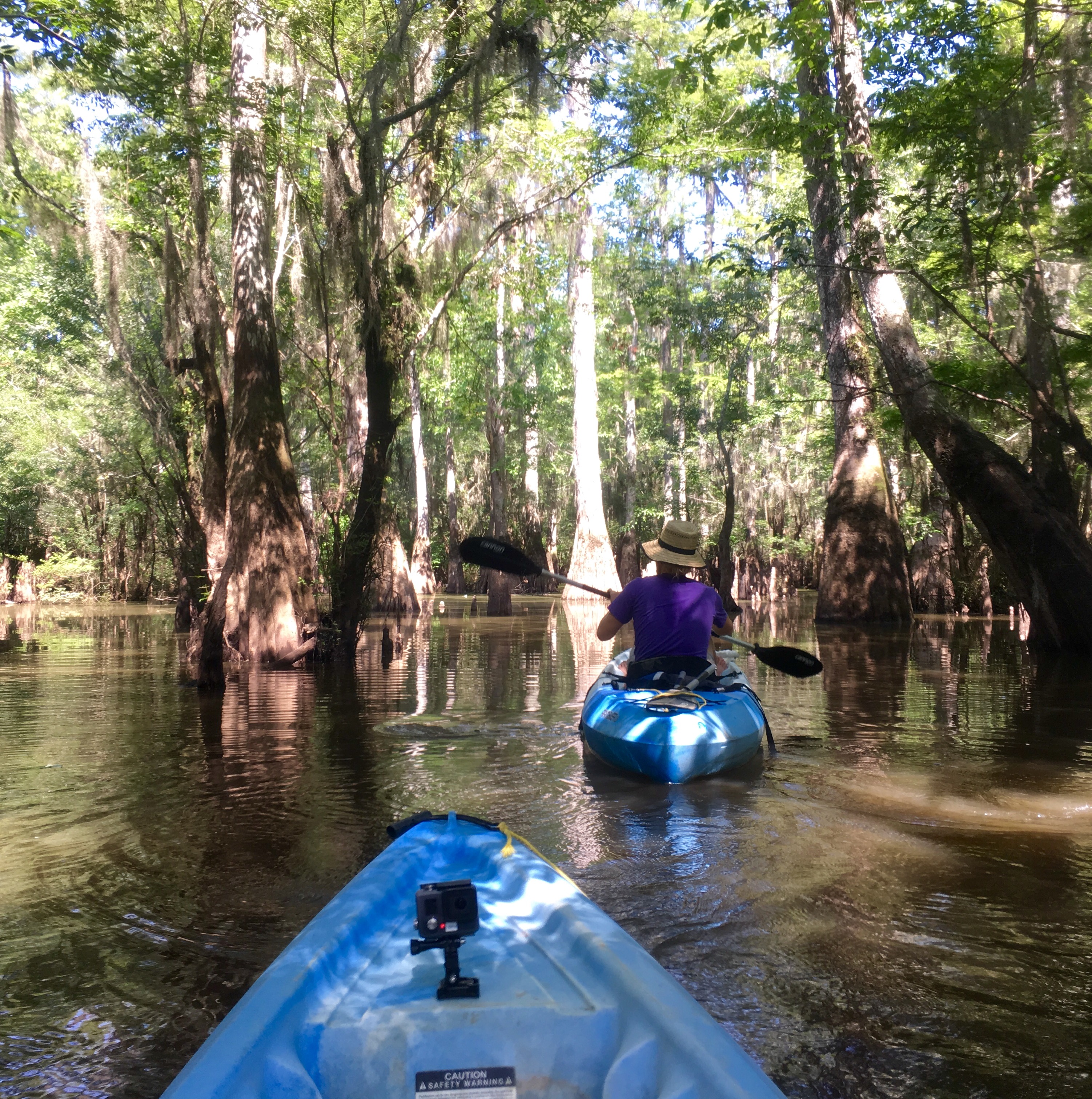 Kayaking in Honey Island Swamp.