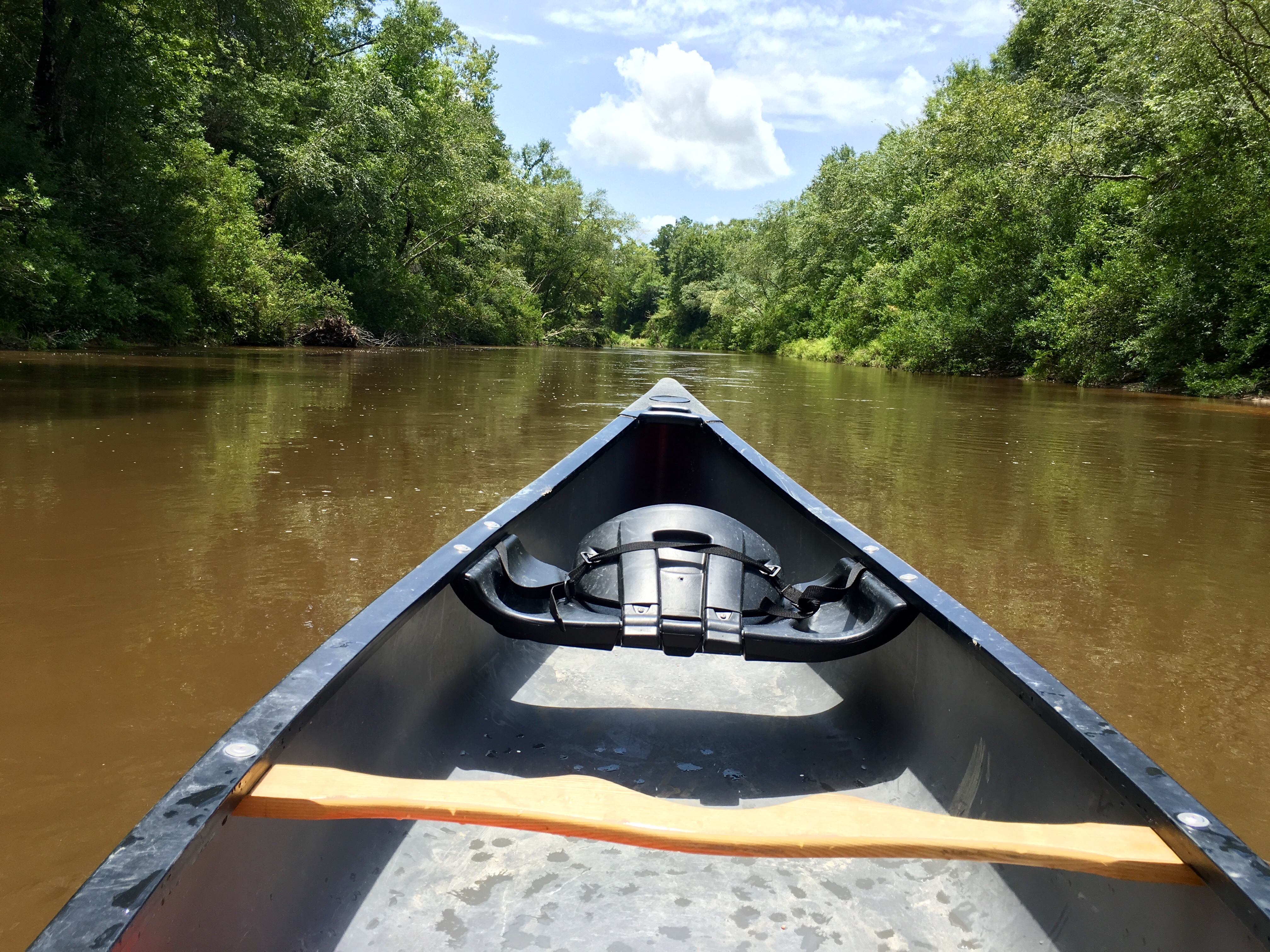 View from a canoe on the Wolf River.