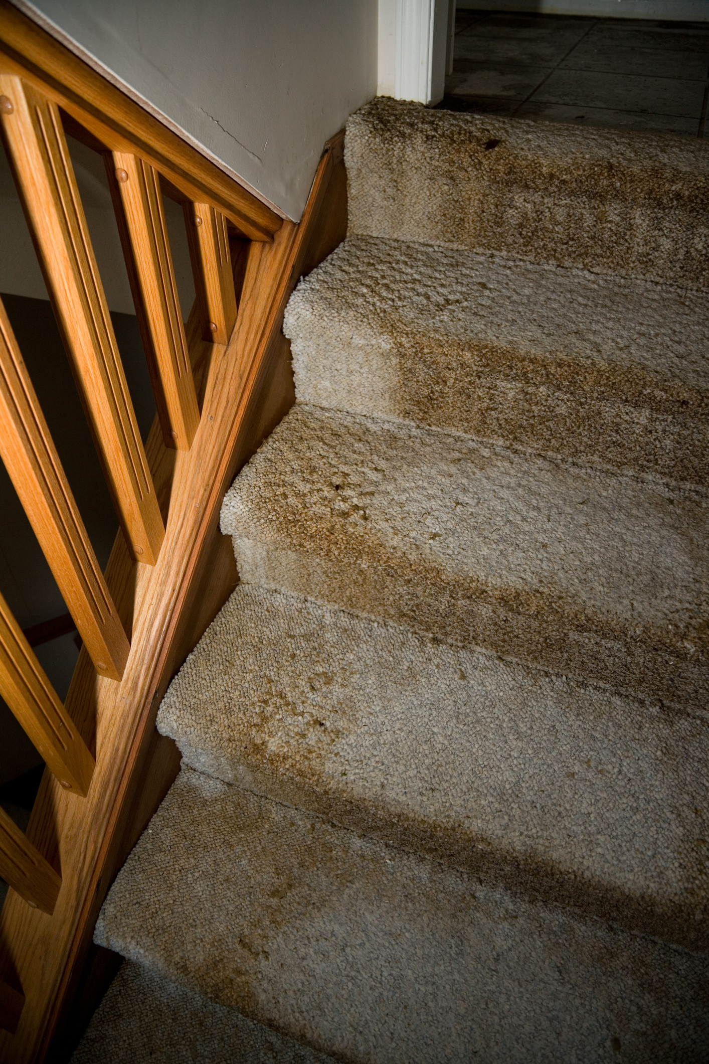 Water damaged carpet must be removed as soon as possible.