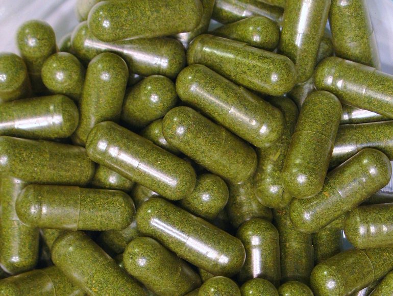 Cannabis capsules are a popular method of taking medical marijuana, especially by those for whom smoking is not a healthy alternative. In this close up view, ground cannabis, or marijuana, is clearly visible inside the clear gelatin capsules. These capsules are shown in a medical-type glass vessel.