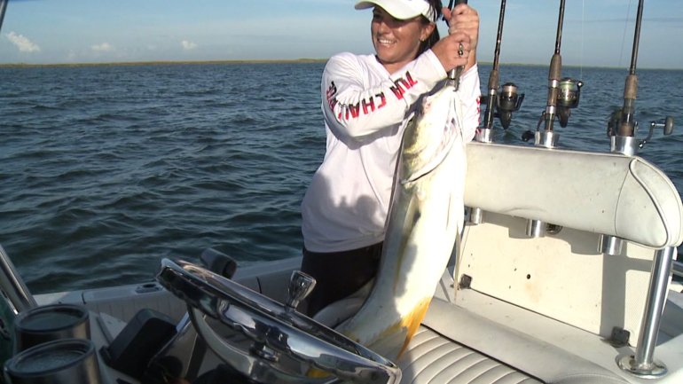 Marths's Jack Crevalle (WGNO-TV)