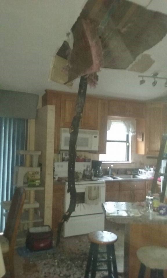 Tree falls through Jacksonville woman's roof during Hurricane Matthew on October 7, 2016.