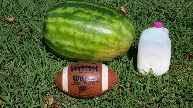 Photo of "Truck Buster" watermelon, next to a football and a gallon of milk for reference. (James Barrentine)