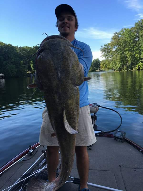 HUGE flathead catfish caught on Wilson Lake — and fisherman throws it back!