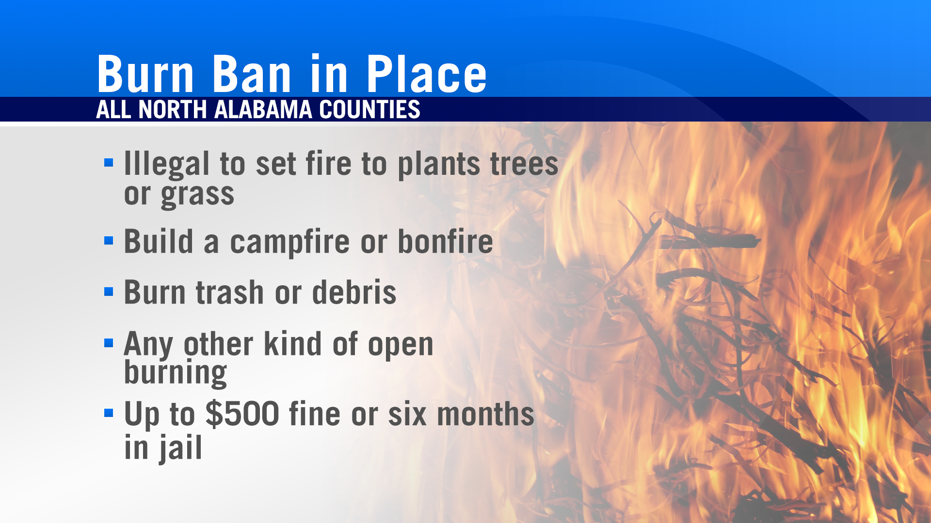 Alabama Forestry Commission 1,028 wildfires since October 1